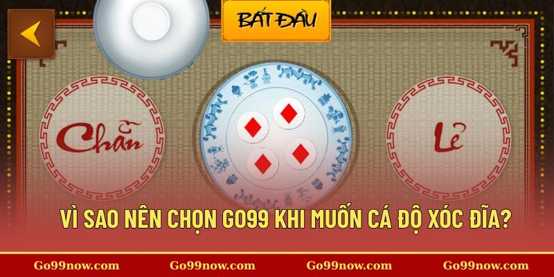 Vì sao nên chọn nhà cái khi muốn cá độ xóc đĩa trực tuyến?